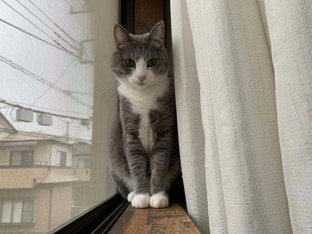 むーさん