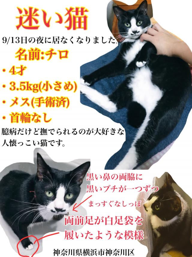 チロ