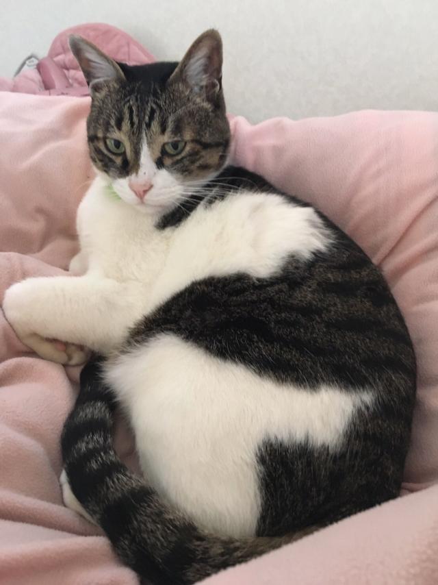 みずき