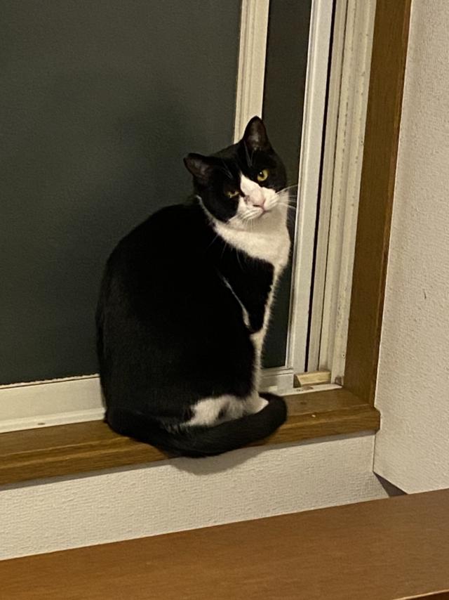 てん