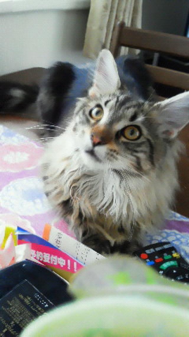 まる