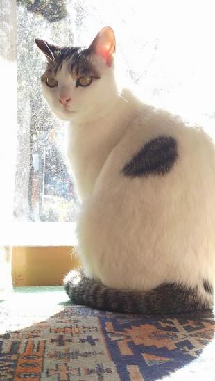 タロウ