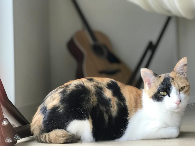 クゥ