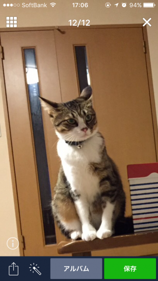 チャチャ