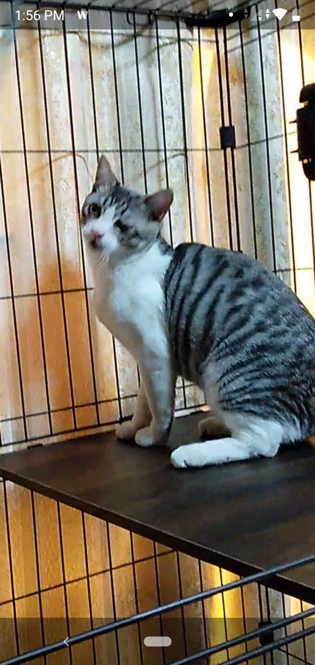 アカちゃん