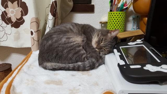 ミク　呼び名は『みーちゃん』