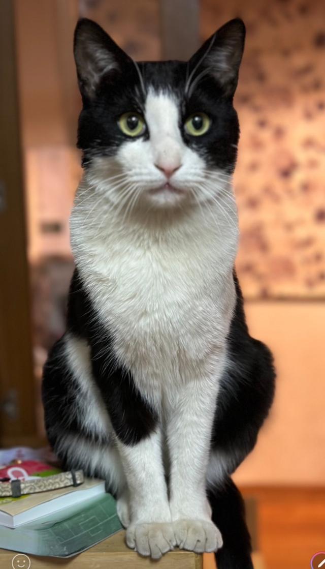 ララ
