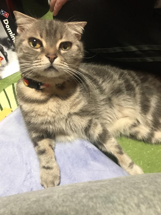 あっこ