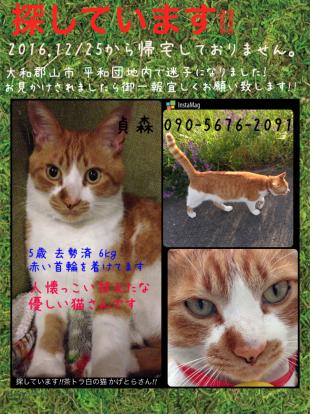 かげとら