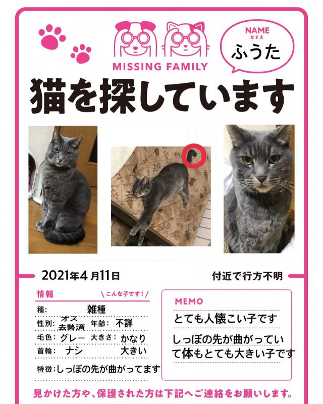 フウタ