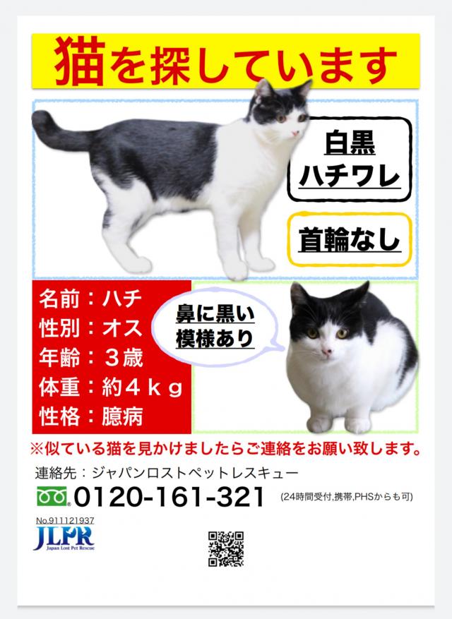 ハチ