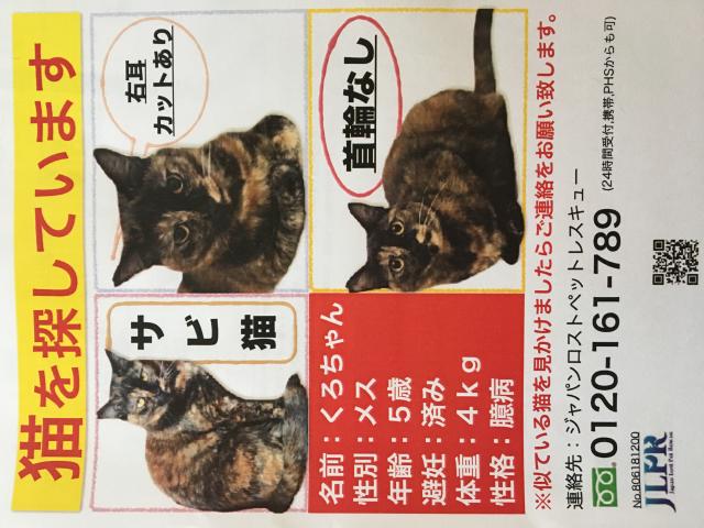 くろちゃん