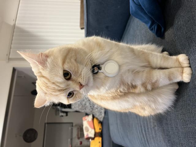 はる君