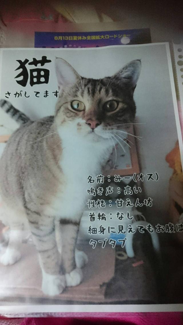 みーくん