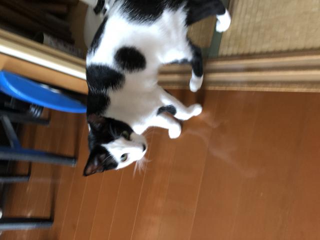 みち