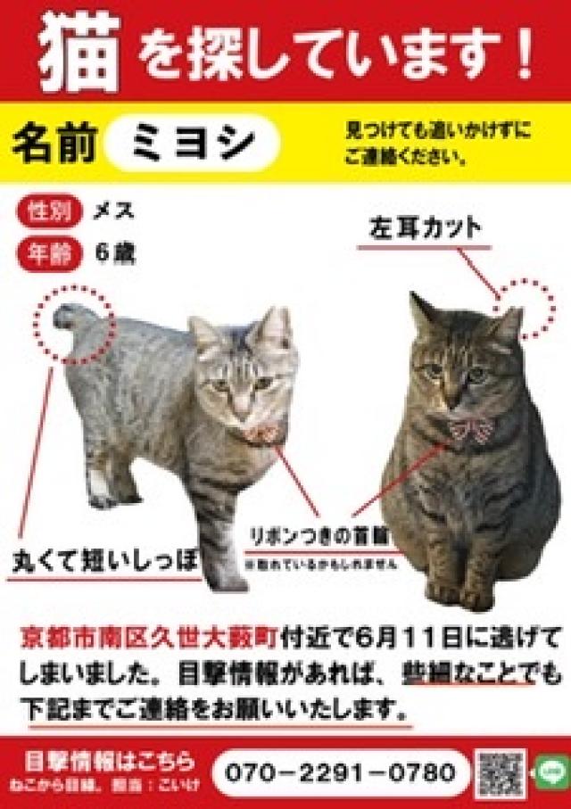 ミヨシ