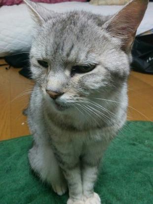 ミー