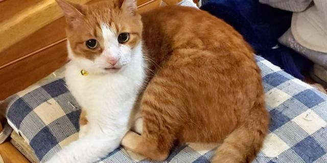 むーちゃん