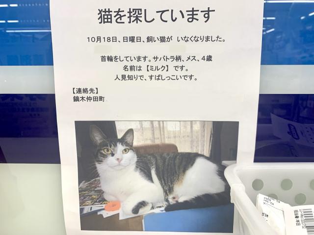 ミルク