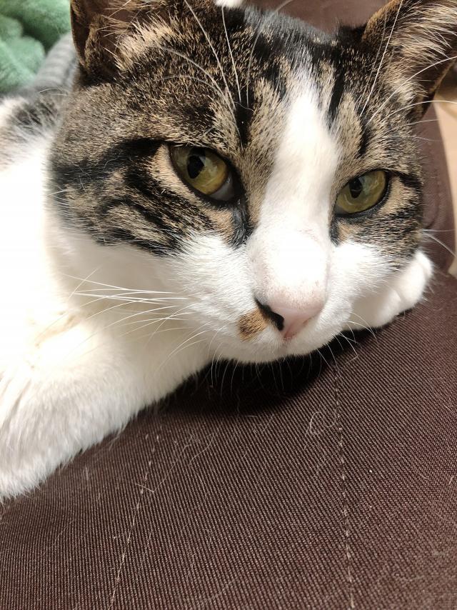 そら