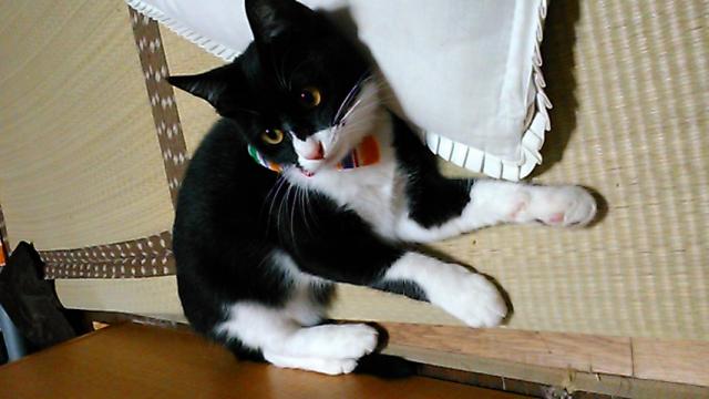 タイ