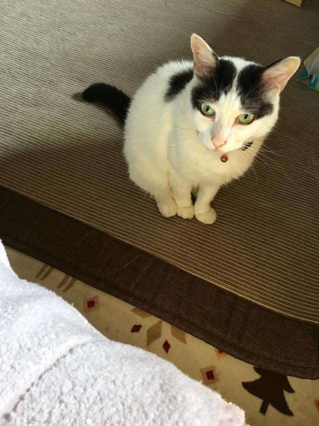 くう
