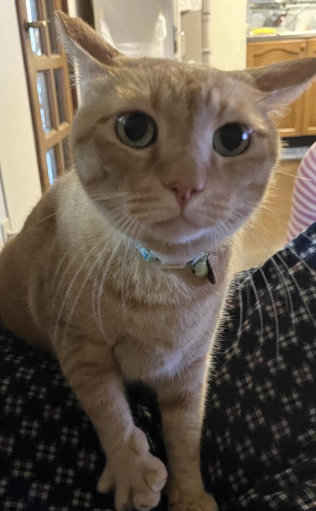 むに、むー
