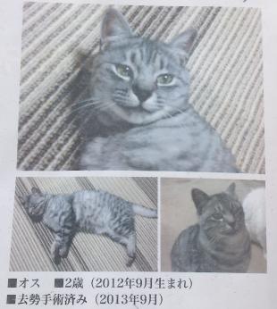 アオ
