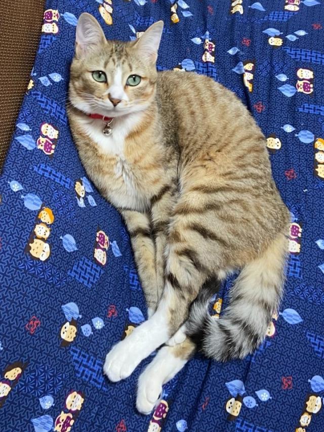 くる