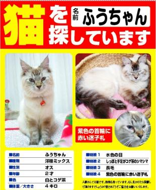 ふうちゃん