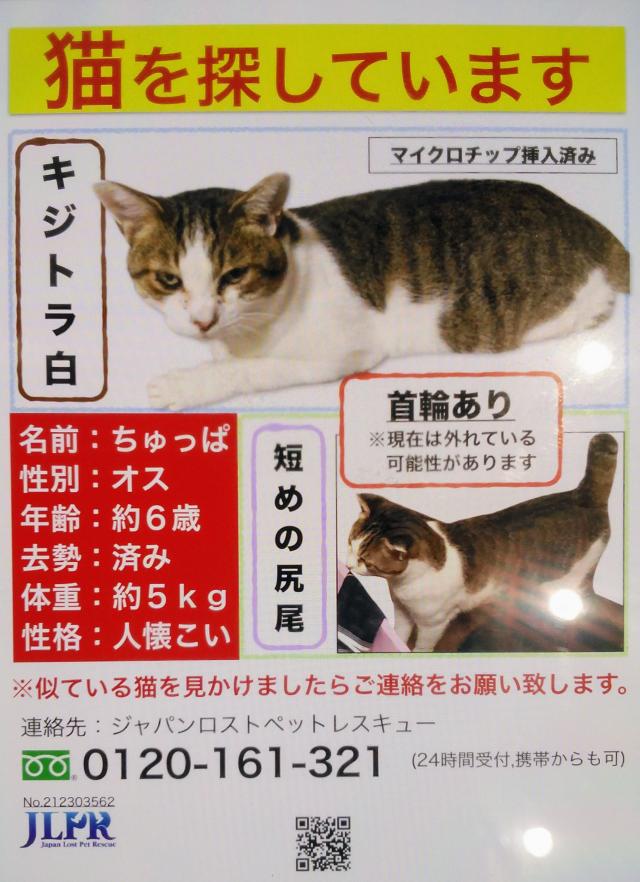 ちゅっぱ