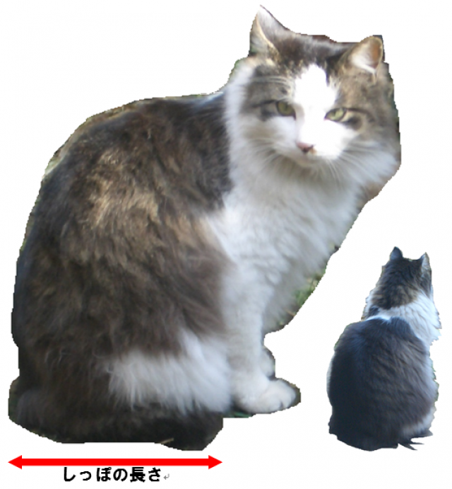 ヒラリ