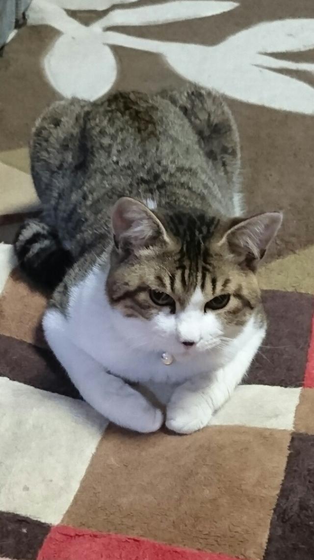 らい