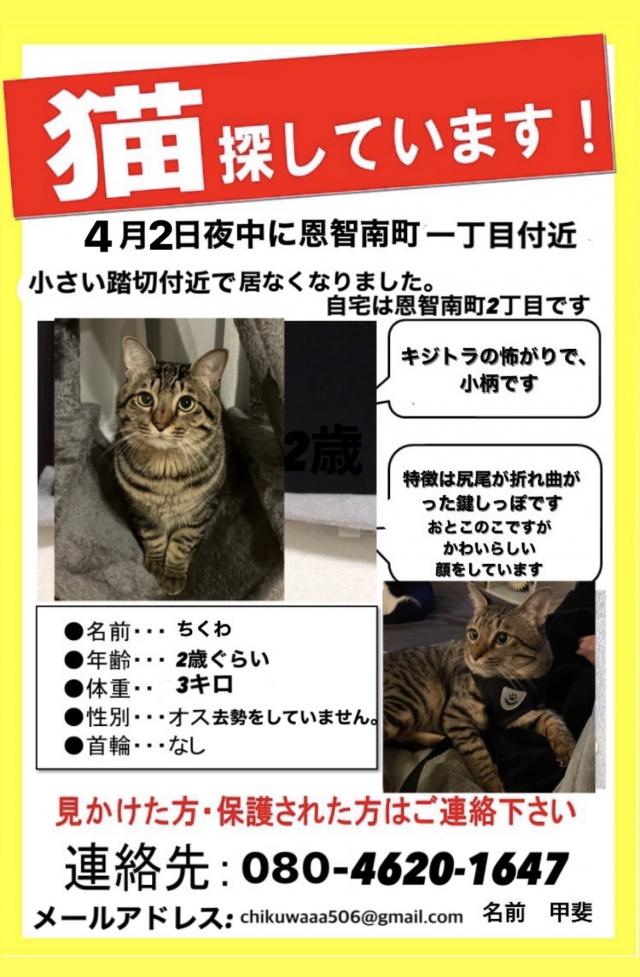 ちくわ（ちっちくん）