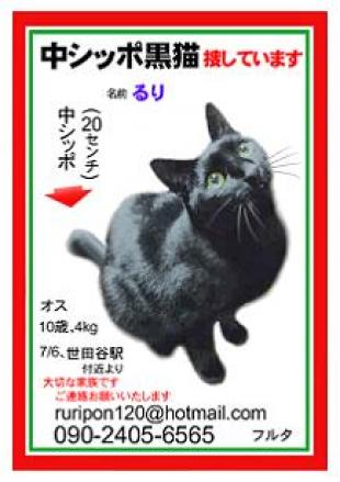 るり