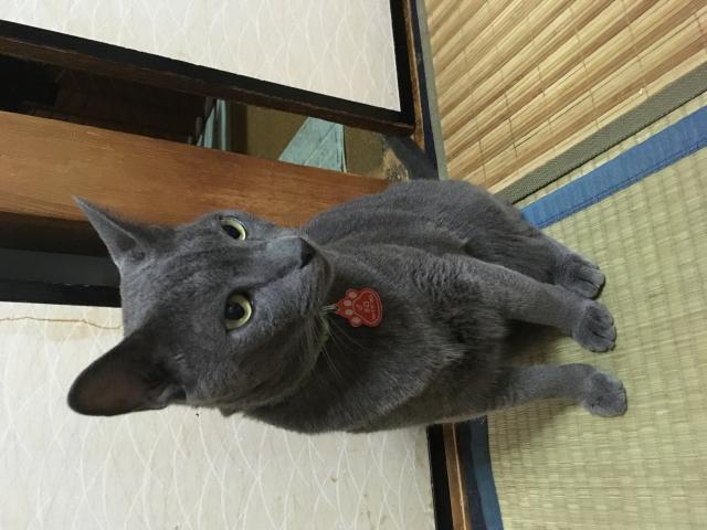 ネロ