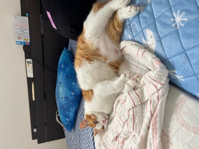 たくみくん