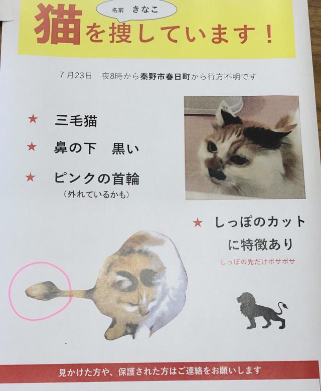きなこ