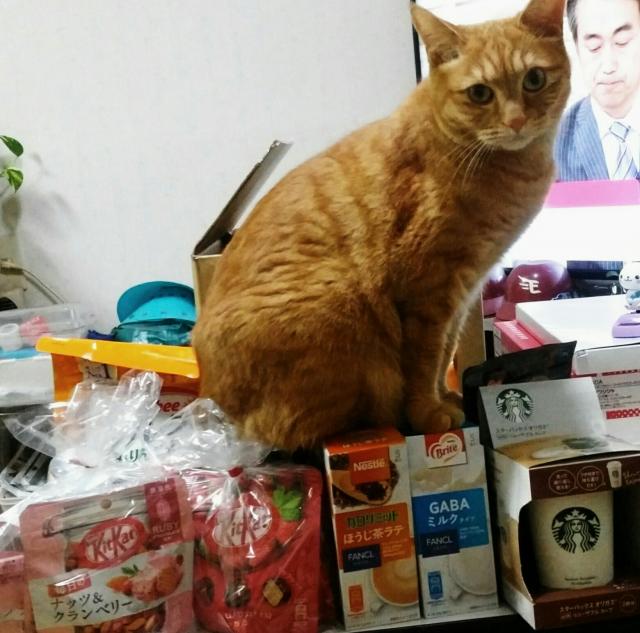 モコ