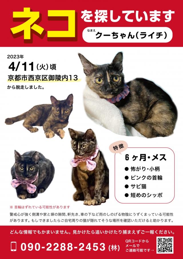 クーちゃん（ライチ）