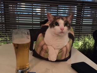 いぶき