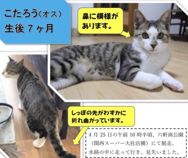 こた(こたろう)