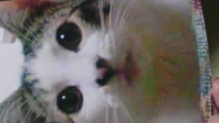 はる