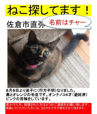 チャーさん