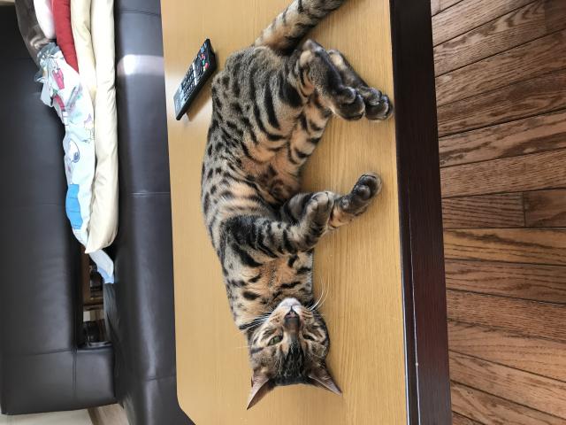 スシロー