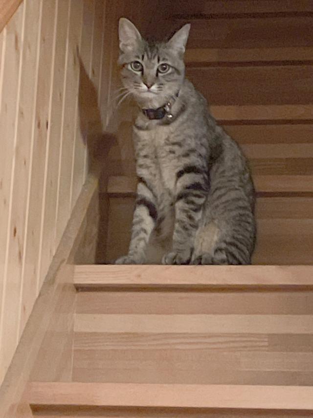 ムー