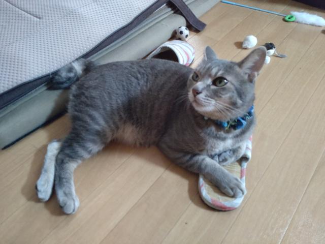 ルーク