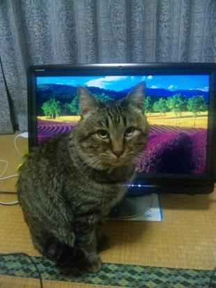きぃ