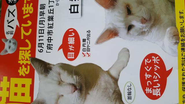 バズ