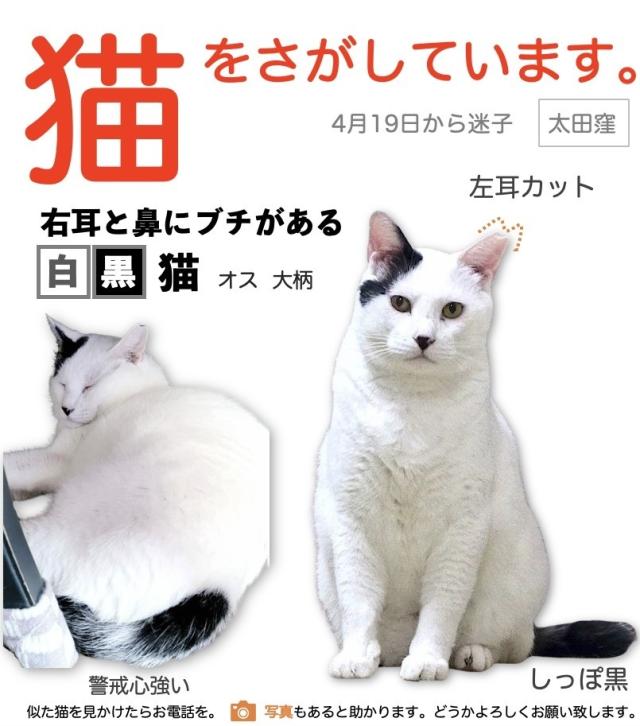 ぶーたん